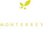 Semilla De Mostaza Monterrey
